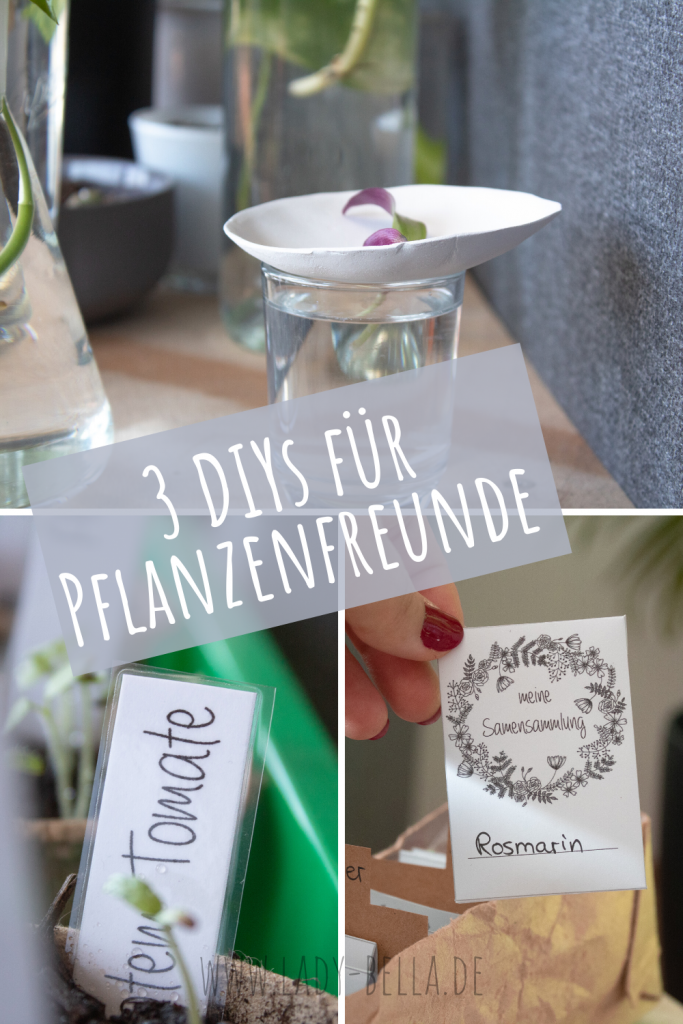 3 DIYs für Pflanzenfreunde
