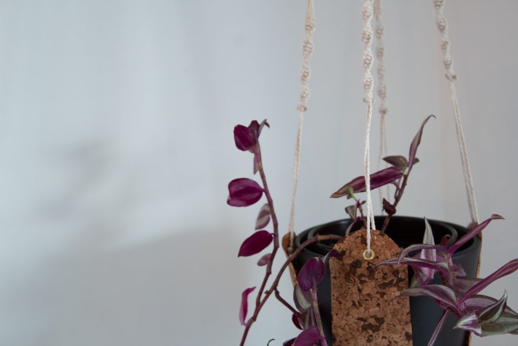DIYs mit: Kork und Sandra und Saskia, Makramee-Kork-Blumenampel mit Anleitung zum Nachmachen
