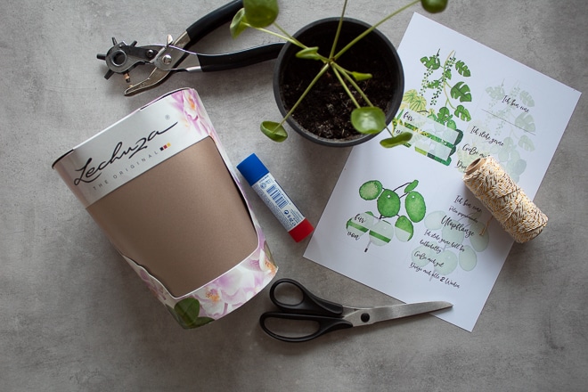 Wichtelgeschenk für Pflanzenfreunde, selbstbewässerungs Pflanztopf von Lechuza mit Watercolor Geschenkanhängern