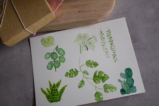 Wichtelgeschenk für Pflanzenfreunde, selbstbewässerungs Pflanztopf von Lechuza mit Watercolor Geschenkanhängern