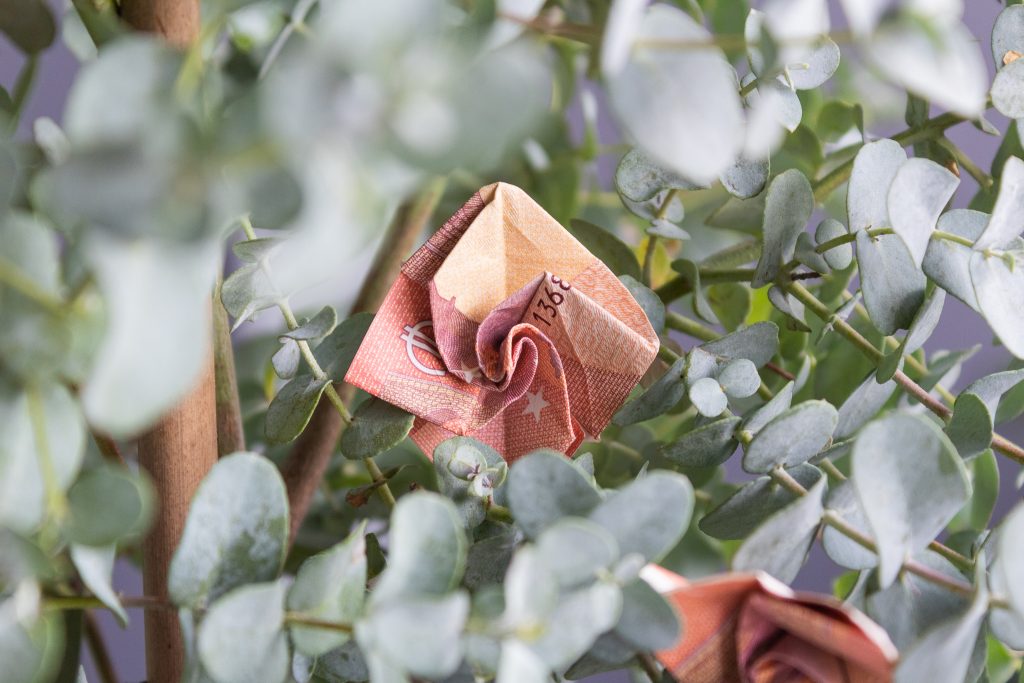 DIY Geldgeschenk zur Hochzeit - Geldblumen falten im Eukalyptus mit Lechuza-Topf
